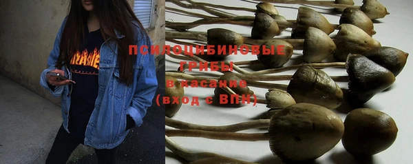 прущая мука Покачи