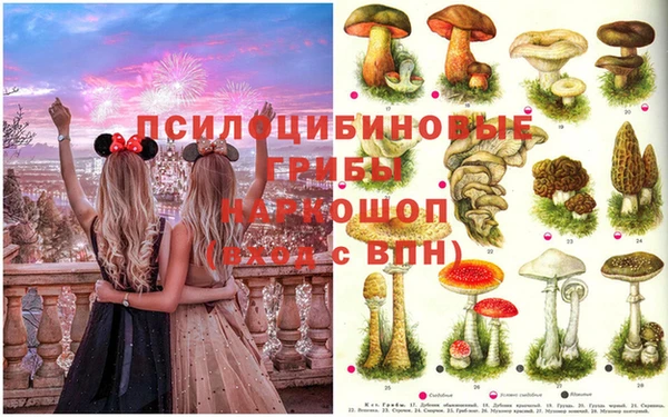 кокаин премиум Покровск