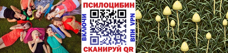 Псилоцибиновые грибы GOLDEN TEACHER  Урус-Мартан 